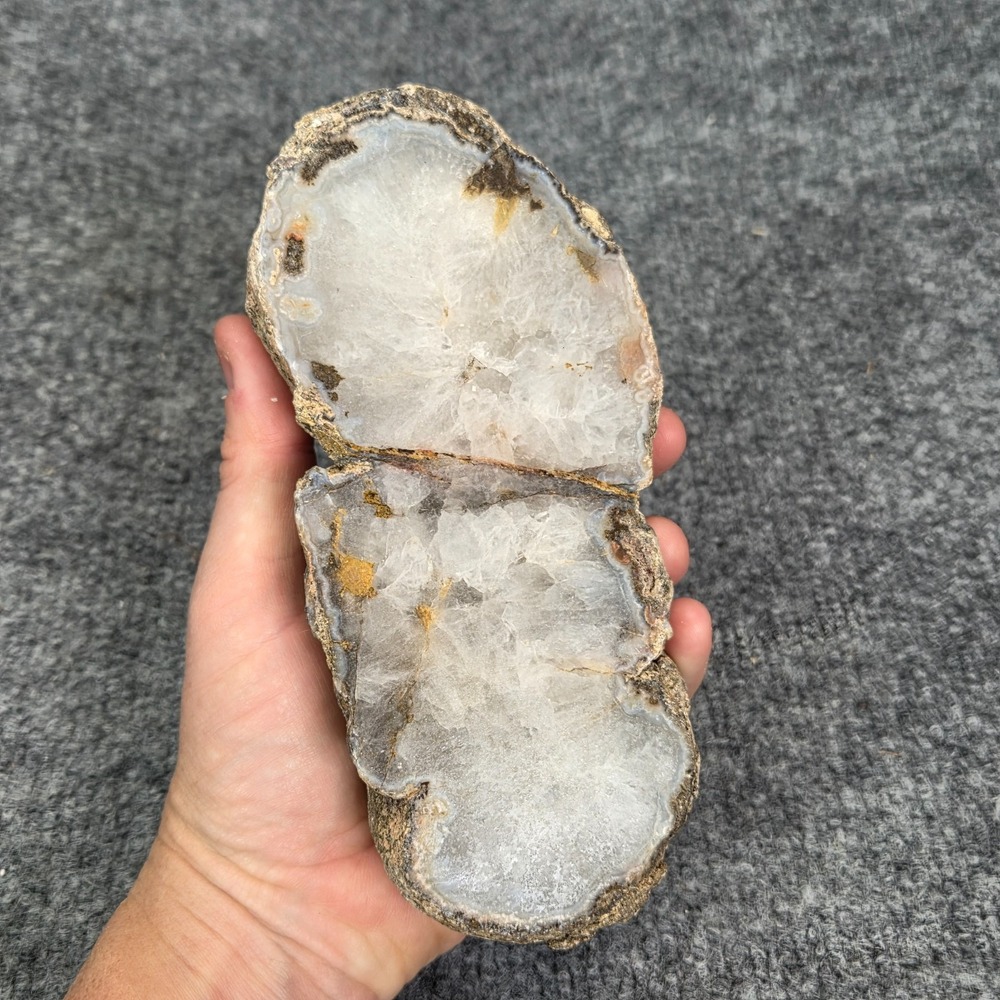 Large Agate Geode Half Cut‎ Rough Crystals Clear 7" Across Quartz?